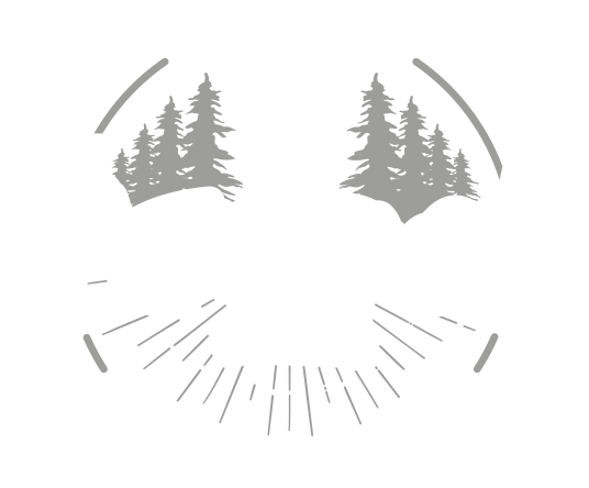 possen-logo-hell